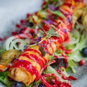 Vibrant filo pastry dish drizzled with berry sauce on fresh salad.
